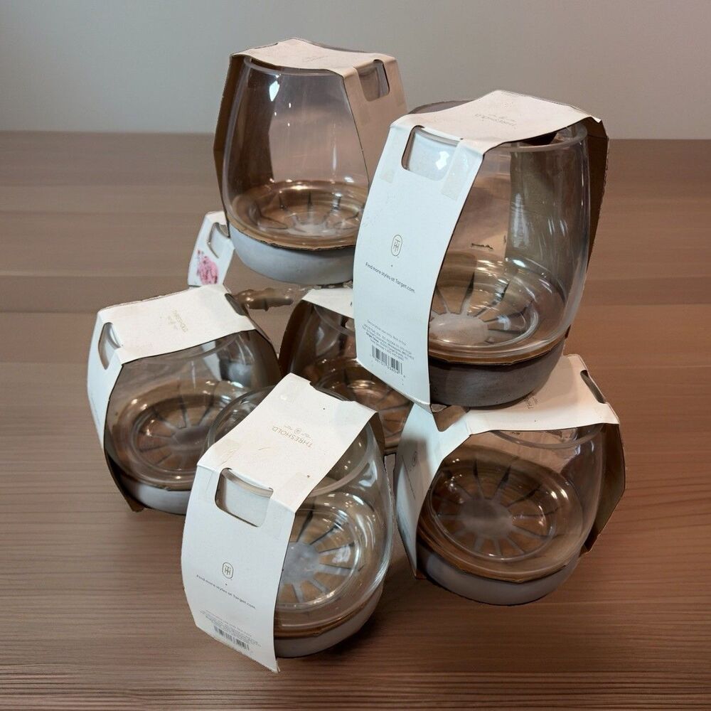 Set of 2 Threshold Glass Cement Terrarium Minimalist Decor Planter Coastal Home